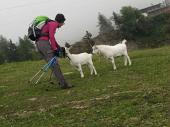 SALITA AL MONTE TORO (mt. 2524) il 2 ottobre 2010 - FOTOGALLERY